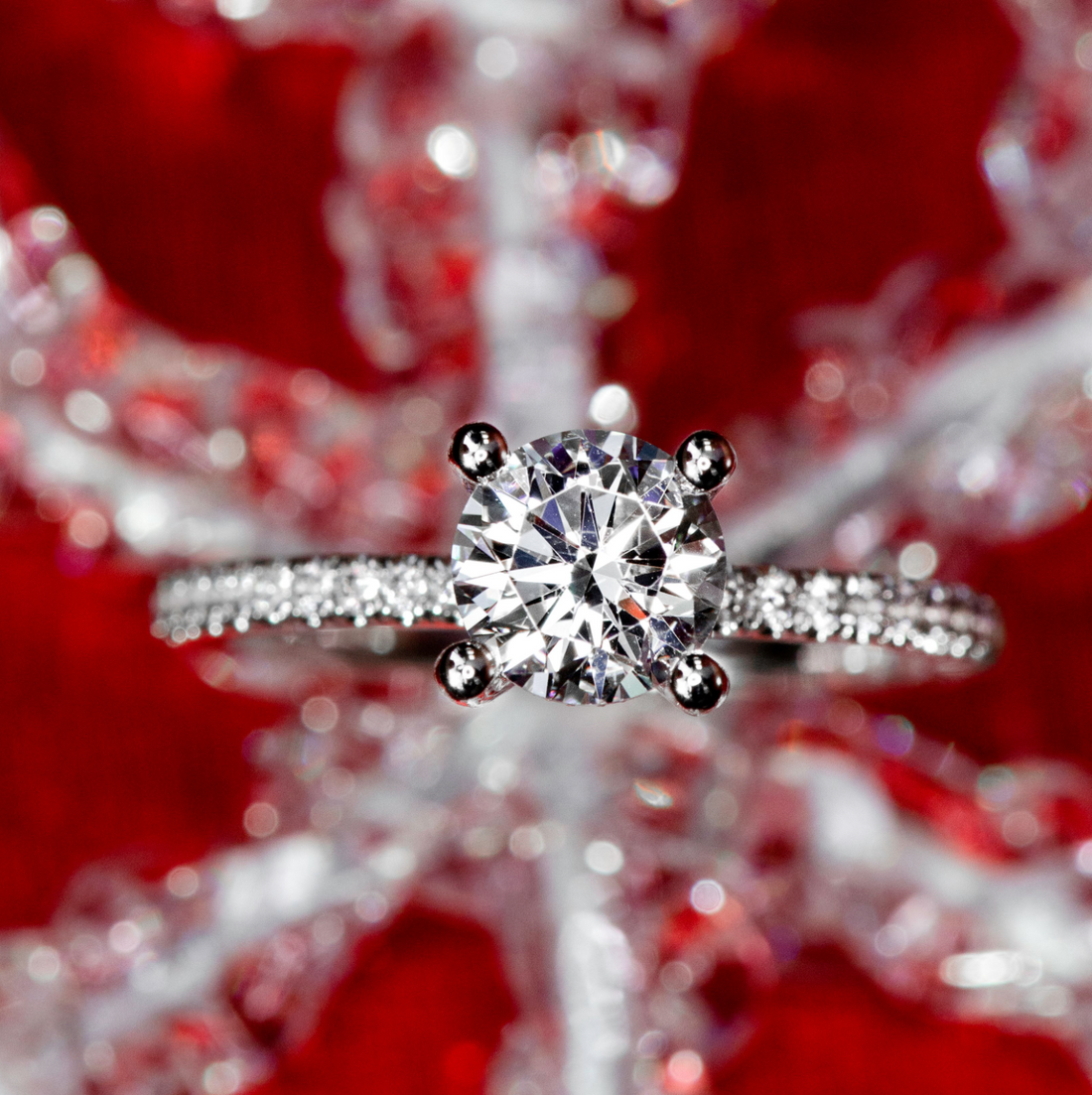 Engagement Rings In Time For Your Holiday Proposal