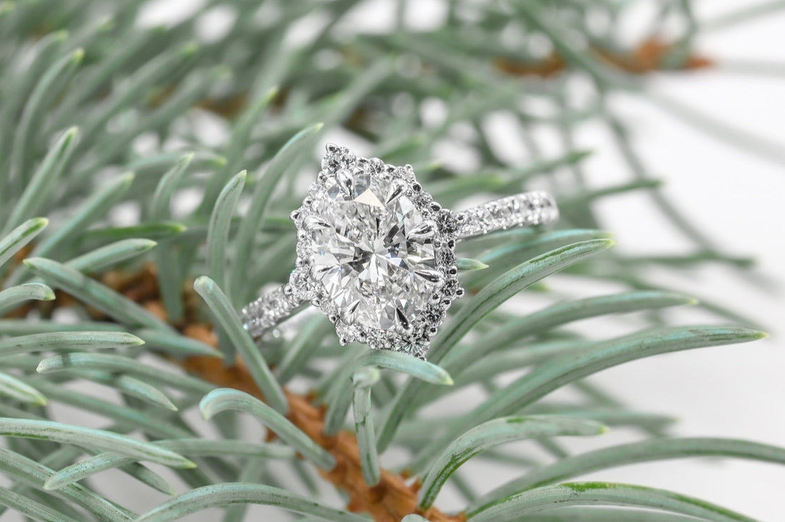 Planning Your Perfect Holiday Proposal
