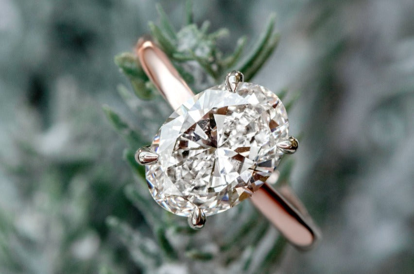 Holiday Proposals